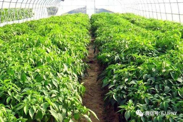 1609225599531318.jpg 微信图片_20201229125604.jpg