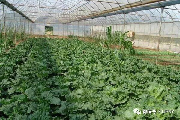 1609225675920515.jpg 微信图片_20201229125610.jpg